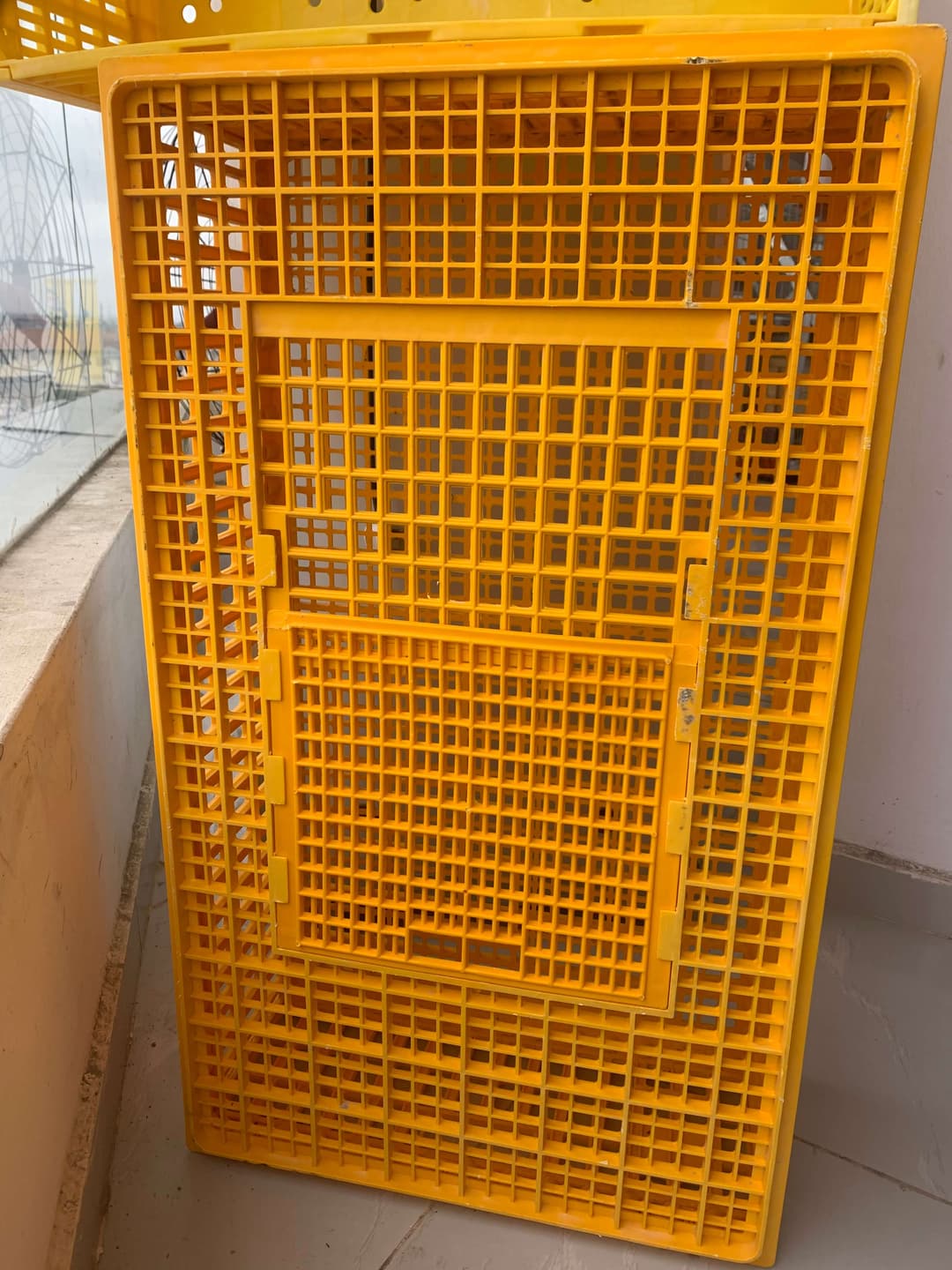 Bird transport cage (crate)