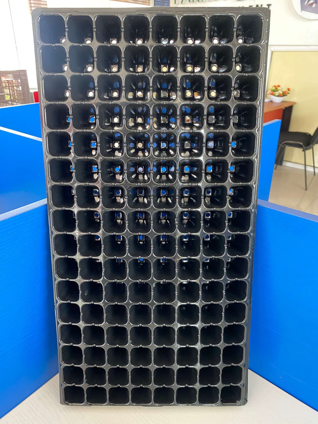 Seedtray (200 holes)