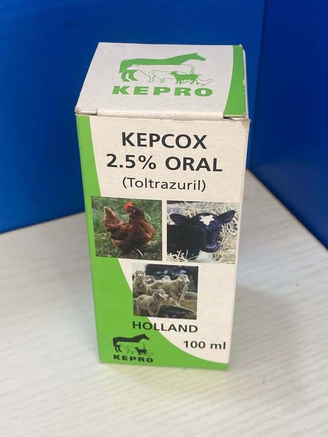 Kepcox(oral)