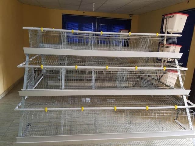 125 capacity imported battery cage