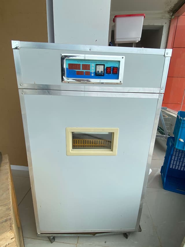 352 capacity incubator