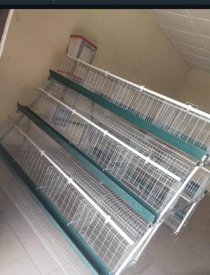 96 capacity imported battery cage